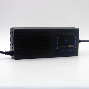 Automatische Freisetzung 48 V 60V 72V 32AH 35AH 40A Elektromaton Ladegerät Schnelllad 60W 32A 40A für PV -Systeme 8 Hauptumsatzbatterien 72V 32AH - №2