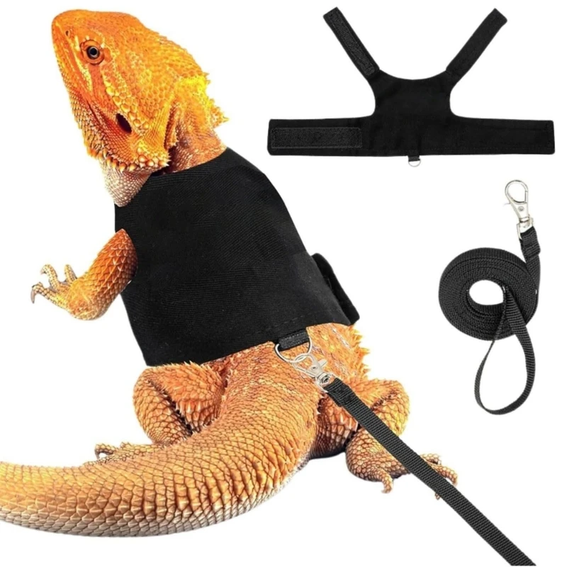 2Set Small Pet Walking Gear Adjust Straps Reptiles Harness Leash Set Outdoor