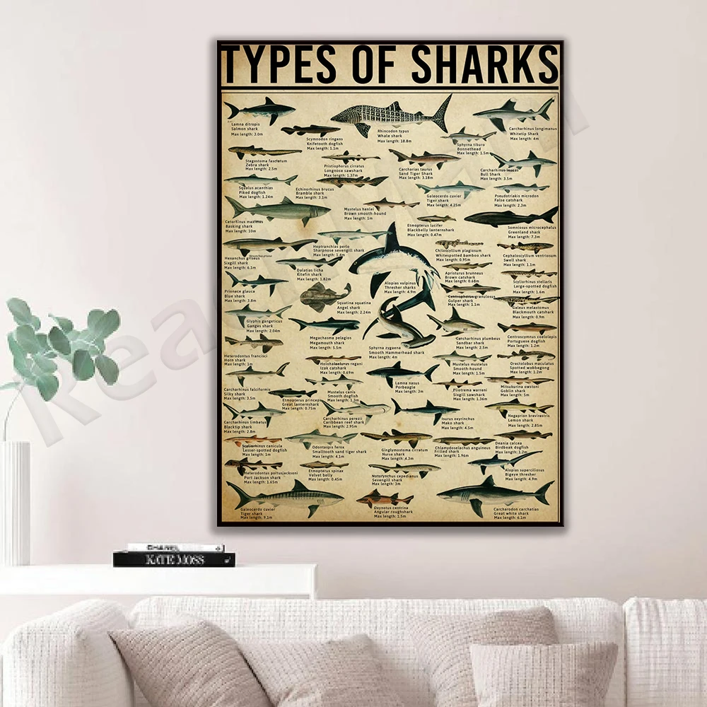 Shark animal vertical poster species shark family shark lover gift shark dictionary marine poster shark knowledge poster