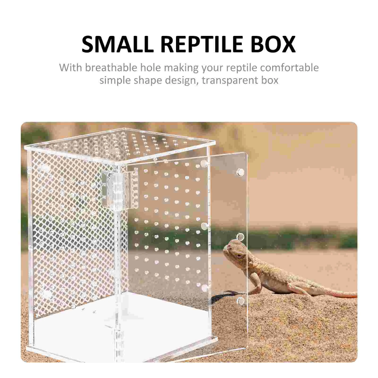 Reptile Pet Terrarium Spider Jumping Enclosure Reptiles Mantis Praying Container Insect Feeding Tarantula