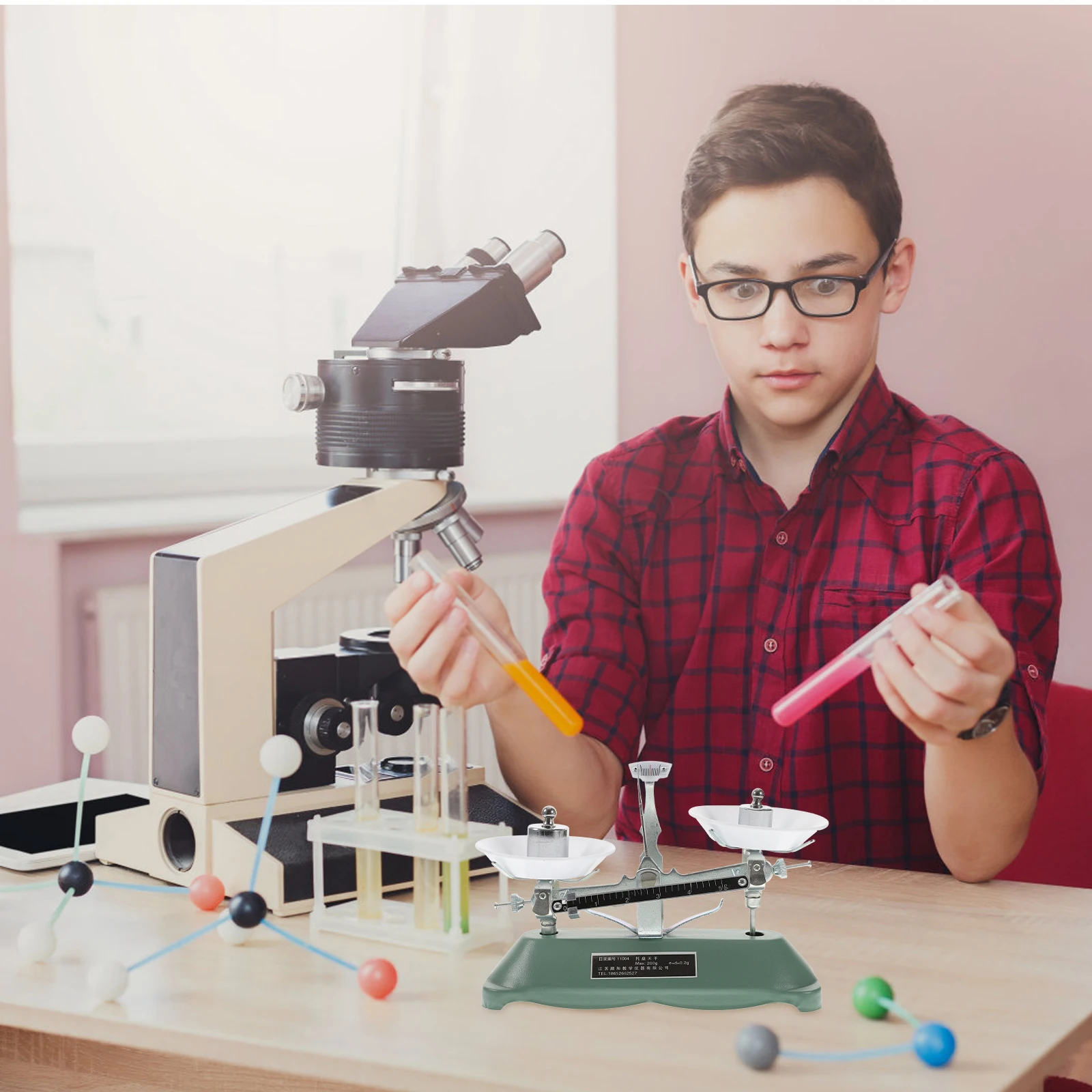 Laboratory Balance Scale Professional Rack Scientific Teaching Tools Kids Portable Weights ABS Aluminum Rubber High