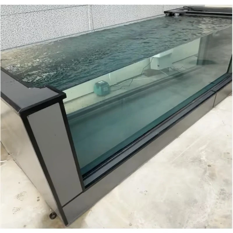 Designed Rectangle Underwater PP+Glass Aquarium for Fish Tank, Eco-Friendly Construction, 10-Year Durability