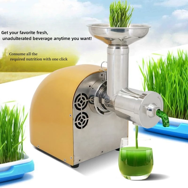 304 stainless steel large diameter wheat grass, pomegranate slow juice machine