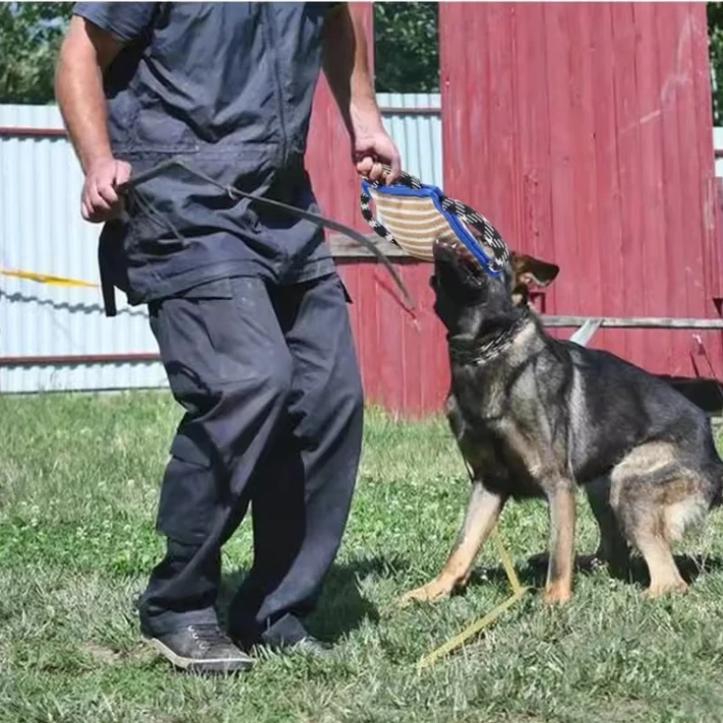 Dog Bite Training Pillow 1