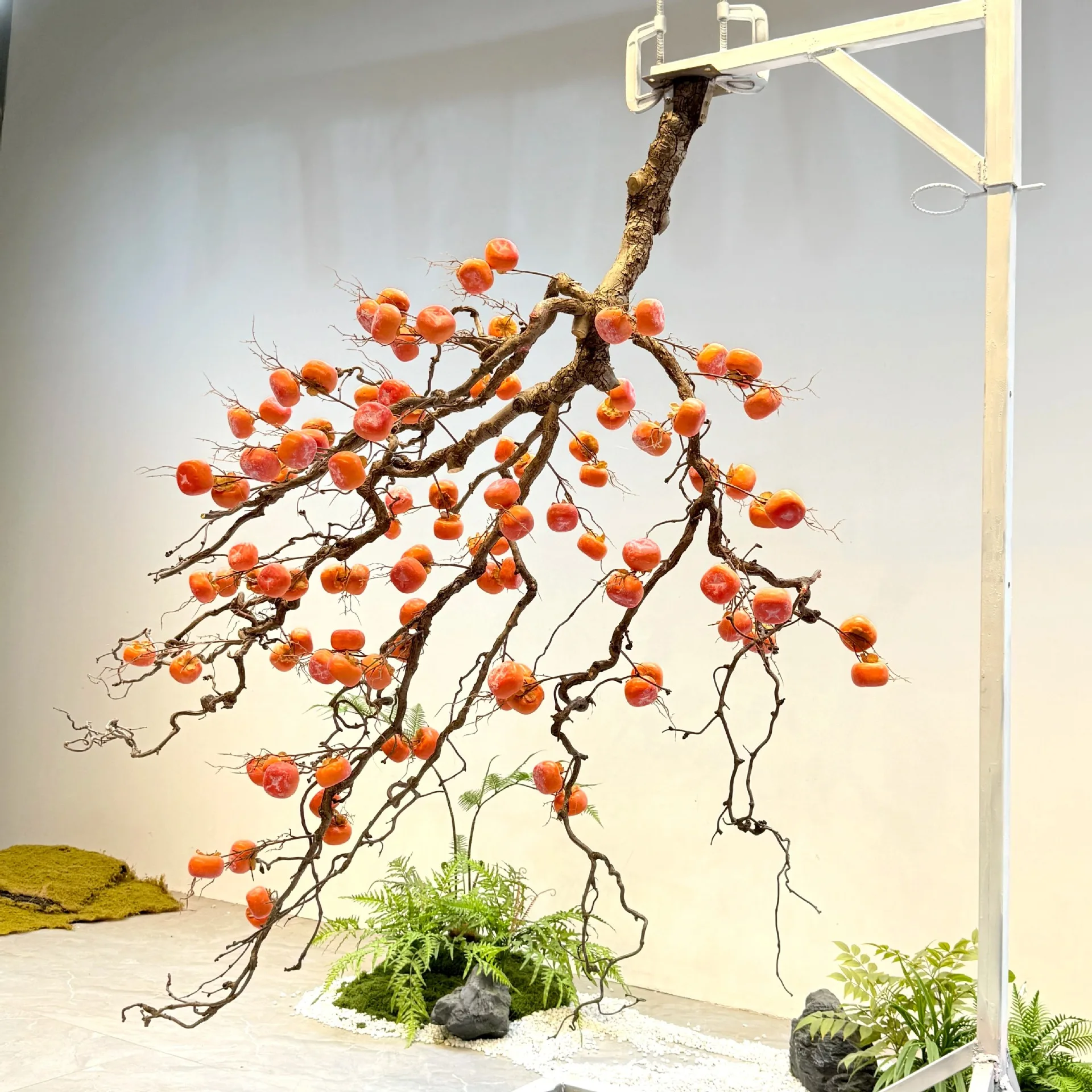 Simulated persimmon tree hangi - đánh giá và giá Bonsai Garden Wall