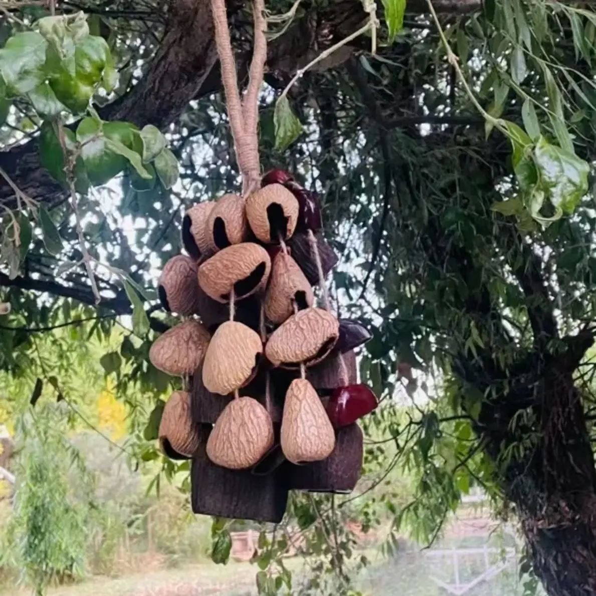Natural handmade nut shell hanging bell seed sound healing hand ring bell full wish fruit bag pendant view 4