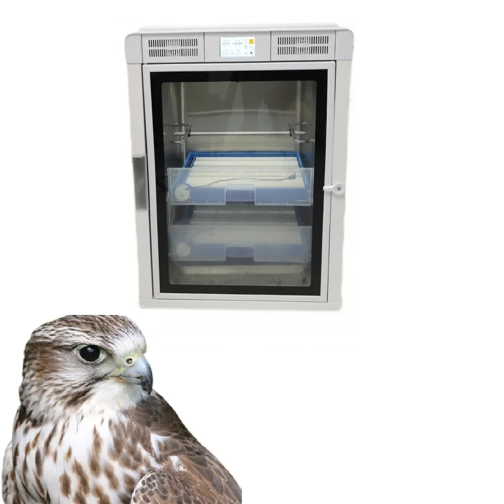 

Egg Automatic Incubator for Small Bird Eggs Chicken Incubator with Quail Rails Eggs Incubator Machine