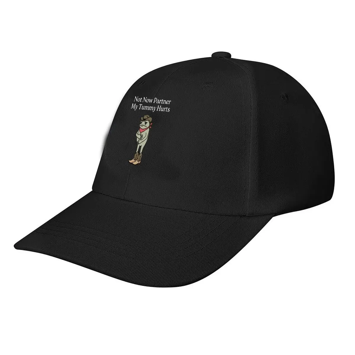 Funny Frog Cowboy Graphic Baseball Cap Fashion Men Sunhat Women's Outdoor Sports Snapback Cap