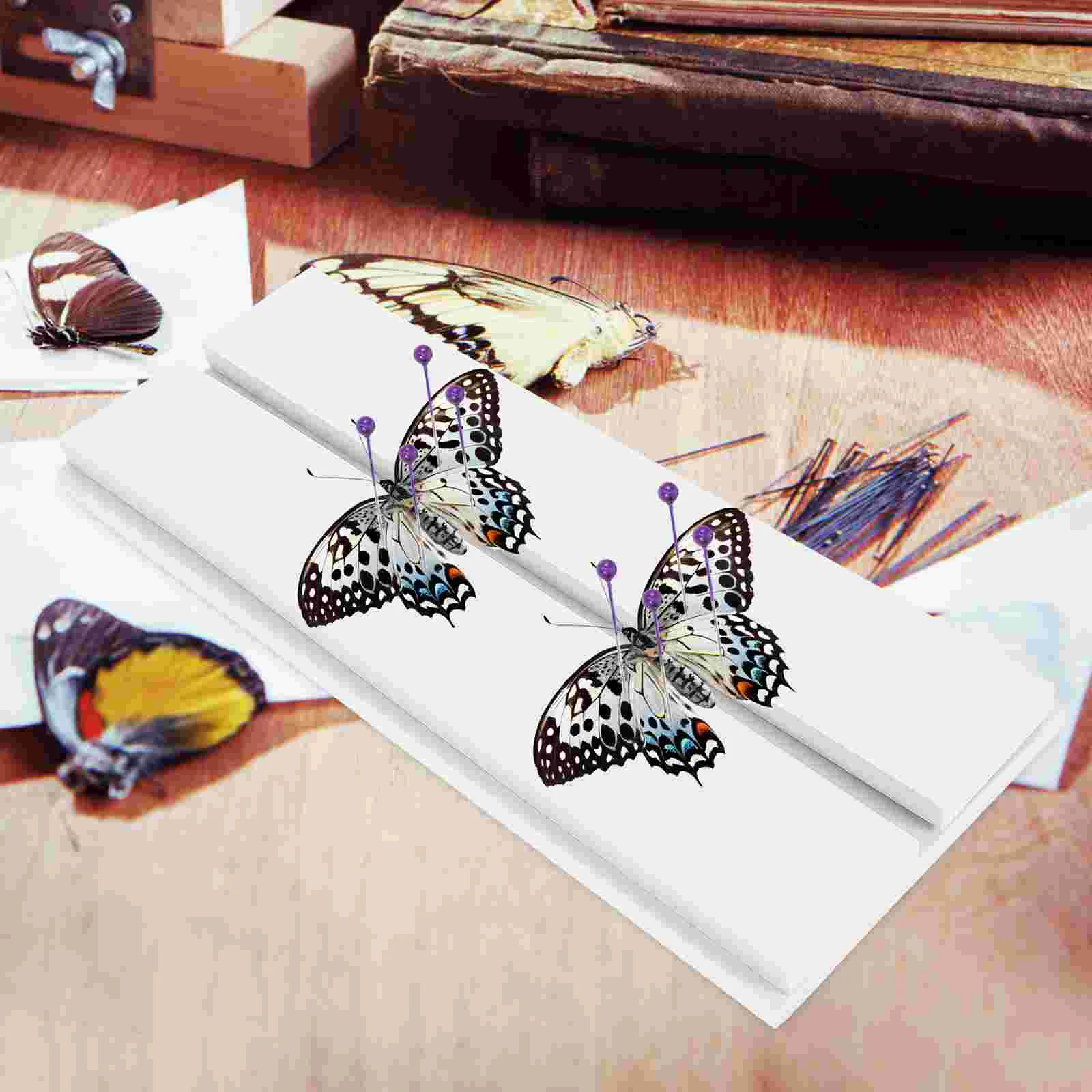 Professional Insect Pinning Kit with Butterfly Spreading Board for Specimen Display Mounting and Preservation