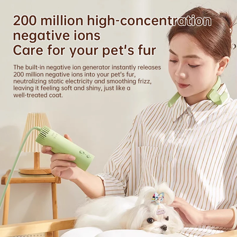 Pet Grooming Hair Dryer, High-Power, Silent, Energy-Saving, Dog Beauty Quick Drying Hair, Only Suitable For Countries With 220V