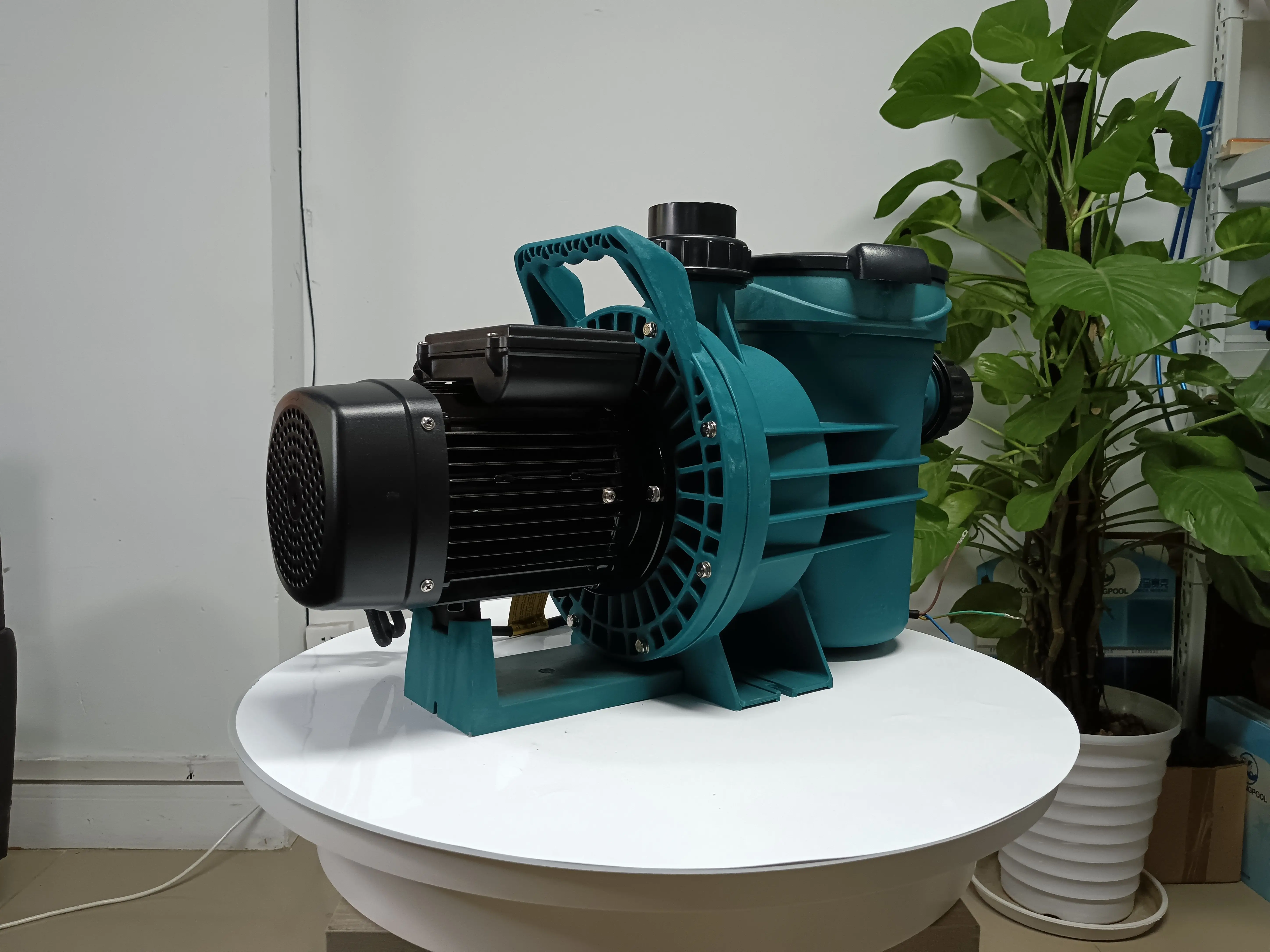 Goede kwaliteit SWIM2 SWIMS2 zwembadpomp IP55 waterpomp