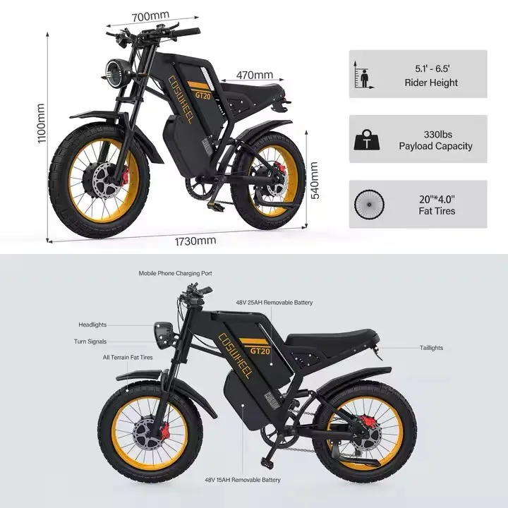 

Bike 3000W GT20 40AH Dual Battery Stealth Bomber Electric Dual Motor Mountain Dirt Ebike Off-road Dirt Bike Adults