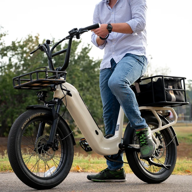 

STLF OEM New 52V 750W Powerful Rear Hub Motor Fat Tire E-bike Integrated Rear Rack Low Step Through Cargo Electric Bicycle for U