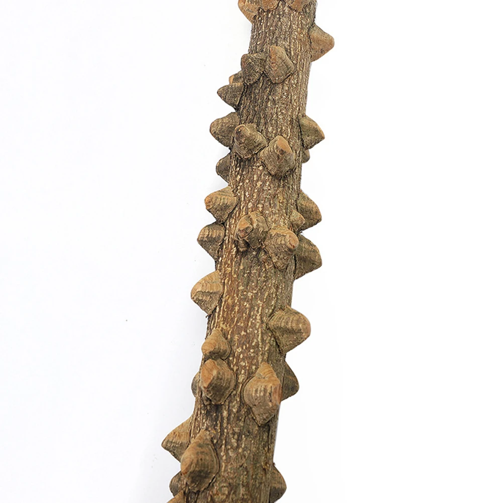 

Wood Bird Toys 30x25x25cm Safe Premium Parrot Play Stand Cockatiels Perch Small Birds Station Stick Bamboo