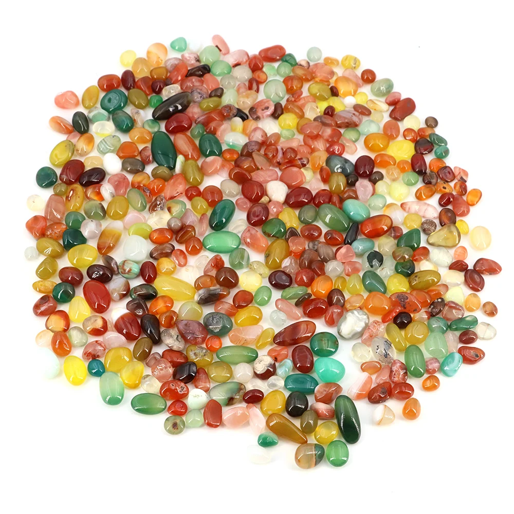 Thumbnail 2 - #24 Latest Vase Fillers Offers