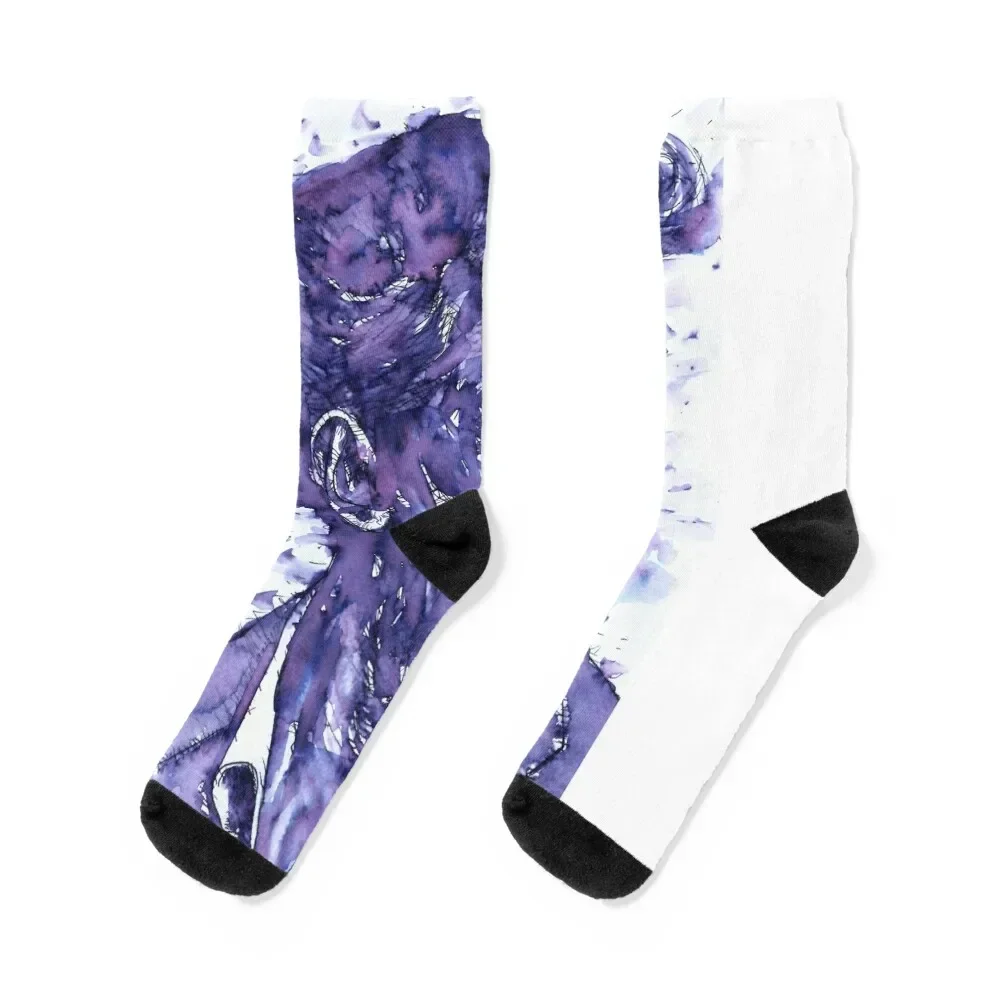 

LUDWIG WITTGENSTEIN - watercolor portrait.8 Socks golf custom sports Woman Socks Men's