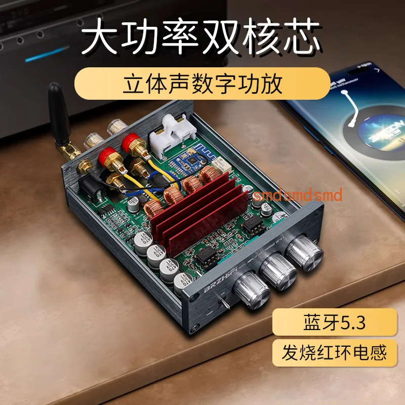 High power dual core TPA3116 digital power amplifier hifi home subwoofer bluetooth