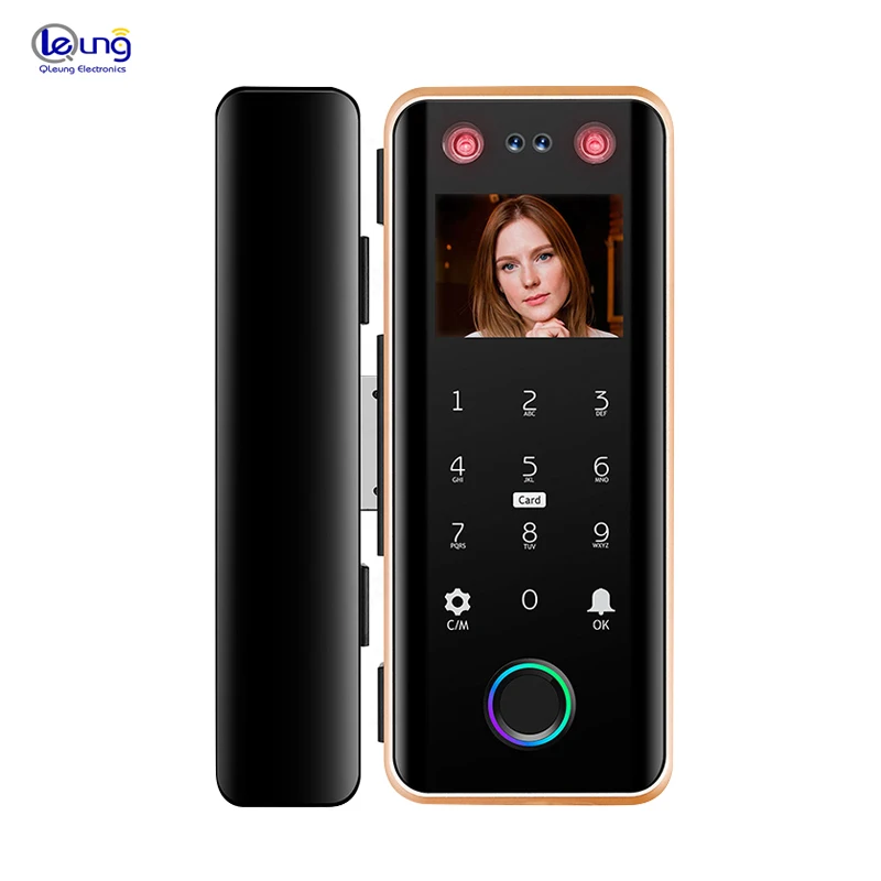 G5S Popular Electronic Password Card Key Fingerprint Face Recognition Digital Door Lock For Glass Door