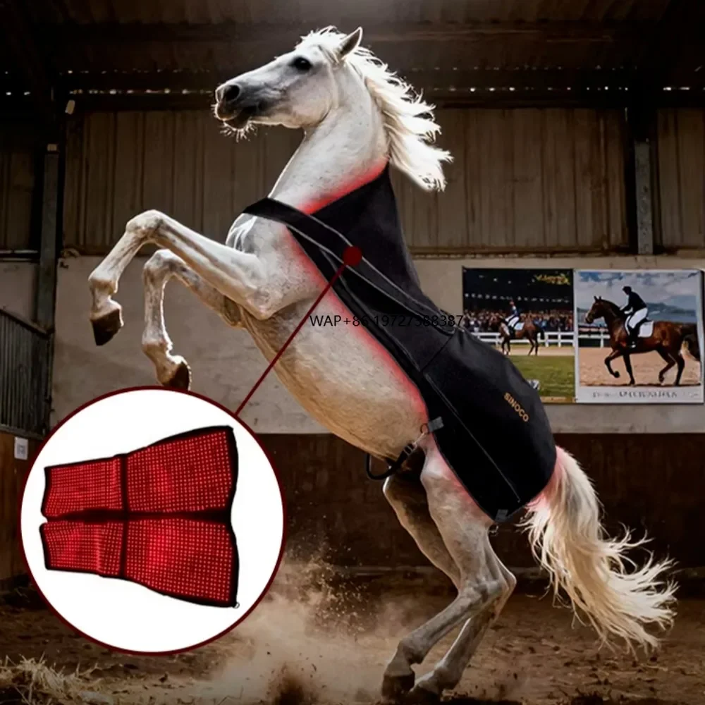 

High Effciency OEM/ODM Equestrian Red Light Therapy Pad Horse Rug Equine Infrared Light Therapy Blanket Used for Back