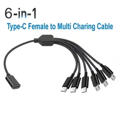Type C Female to 6 in 1 Multi Charing Cable, Micro USB Splitter Cable 5V 3 in 1 Type C Extension Cord For Phone Tablet and More