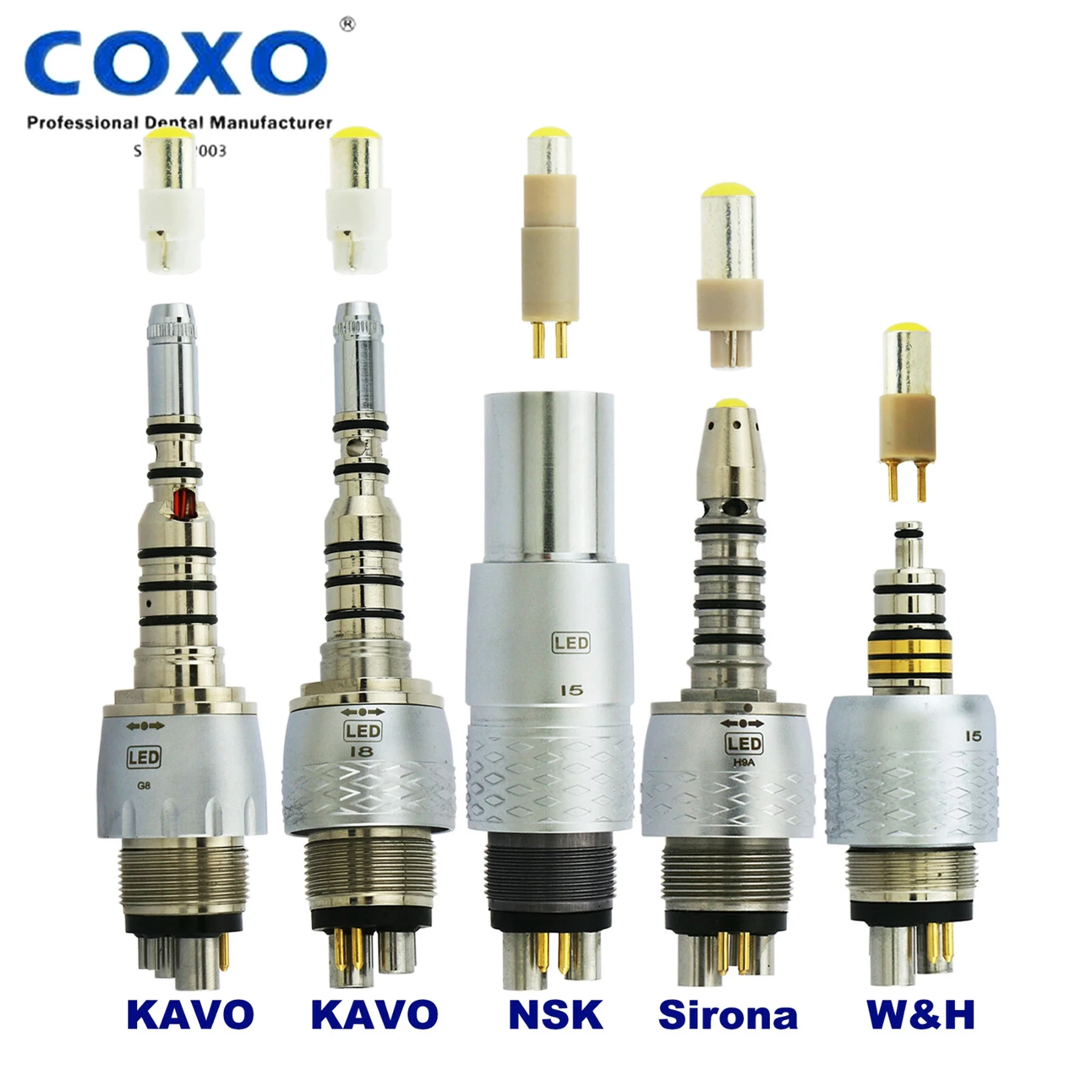 Coxo Dental 6 Holes…