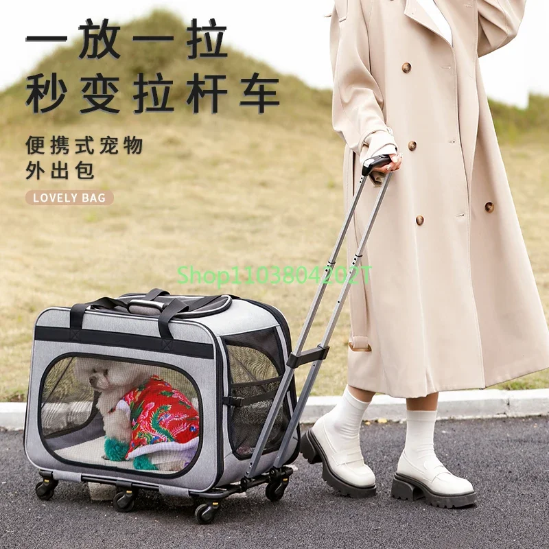 

Dog Out Carry Bag Large Capacity Two Bichon Teddy Yorkshire Small Dog Pet Bag Cat Bag Trolley Case