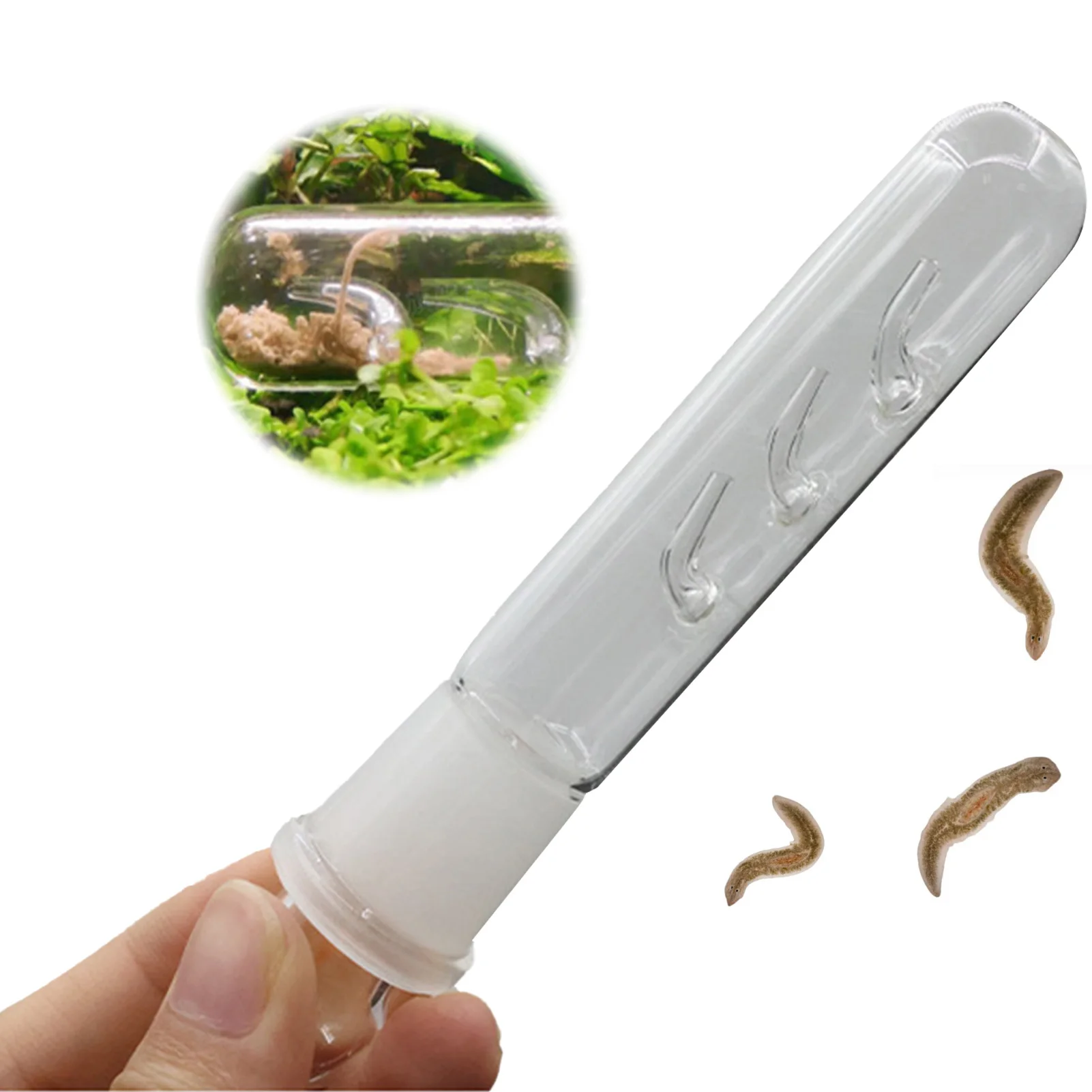 3 Holes Glass Aquarium Worm Trap Catcher Fish Tank Pest Catch Trap Clear Catcher For Planarian Flatworm Aquarium Cleaning Tool