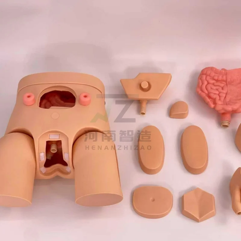 

NEW Male and Female PVC Manikin for Urinary Catheterization Training Genital Anatomy Model for Medical Demonstration AndPractice
