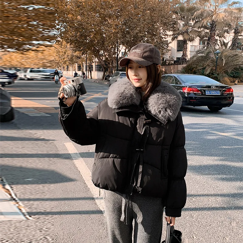 Nueva Chaqueta corta de algodón de invierno para mujer, Chaqueta de algodón holgada coreana, abrigo de algodón grueso con cola de piel grande, Parkas para mujer, prendas de vestir exteriores