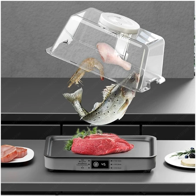 صينية إزالة الجليد لآلة الذوبان السريع للتجميد، لوحة إزالة الجليد السريعة، صندوق إزالة الجليد للوحة الذوبان السريع #2