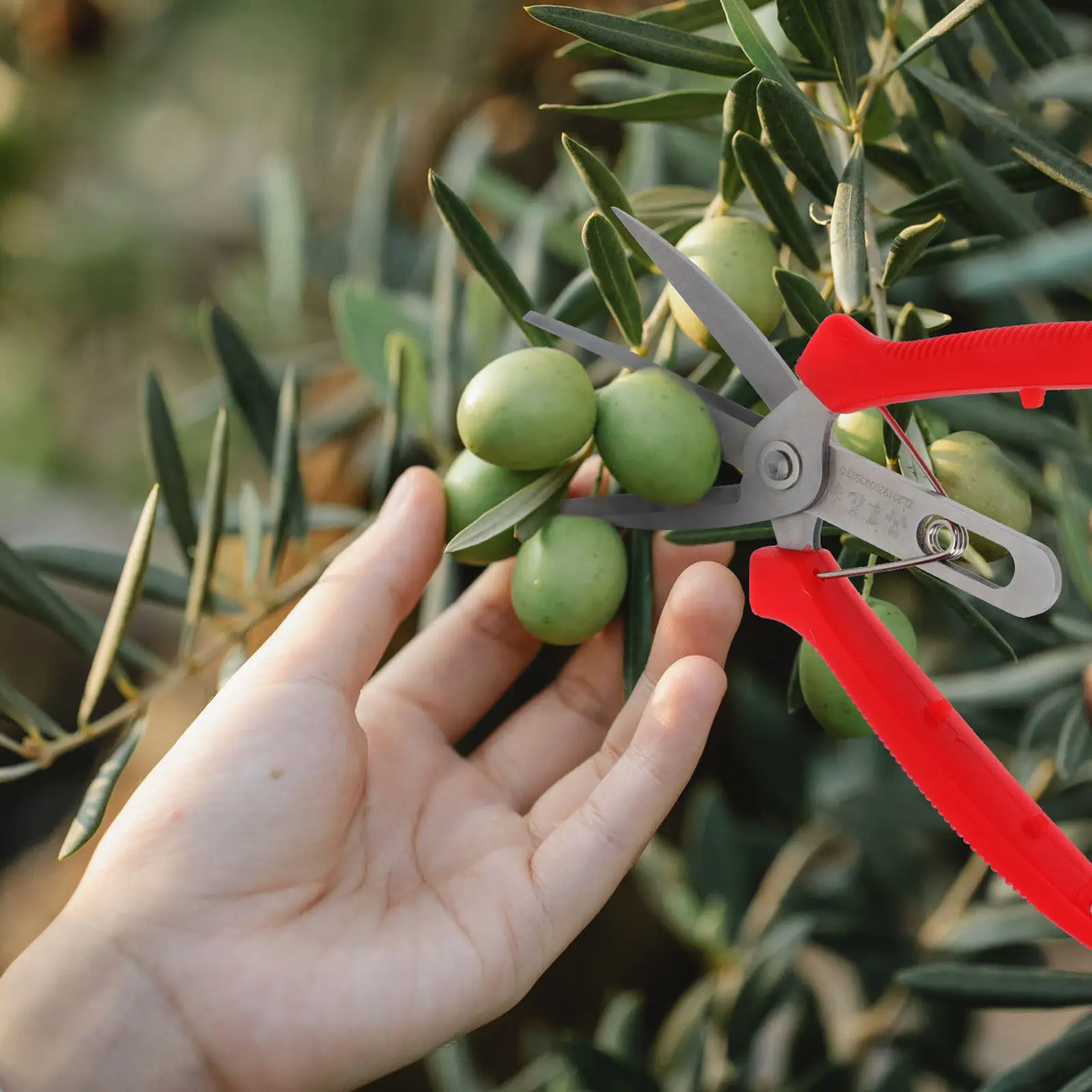 

1 шт. Садовые ножницы для обрезки деревьев, усиленные, с двойным лезвием, из нержавеющей стали, портативные, легкие, с нескользящей ручкой