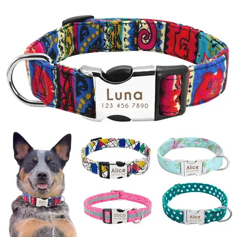 Nylon Dog Collar with ID Tag Didog