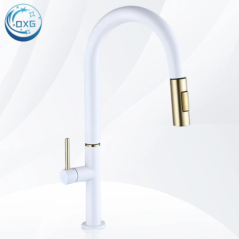 

OXG 304 Stainless Steel Lead-Free Kitchen Faucet Pull-Out Sprayer Dual Water Modes Gourmet Kitchen Sink Faucet