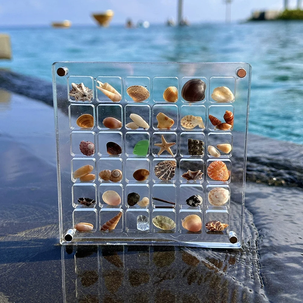 Acrylic Magnetic Seashell Display Box Seashell Display Diamond Storage Box Small Craft Organizers Compartment 36/64/100 Grids