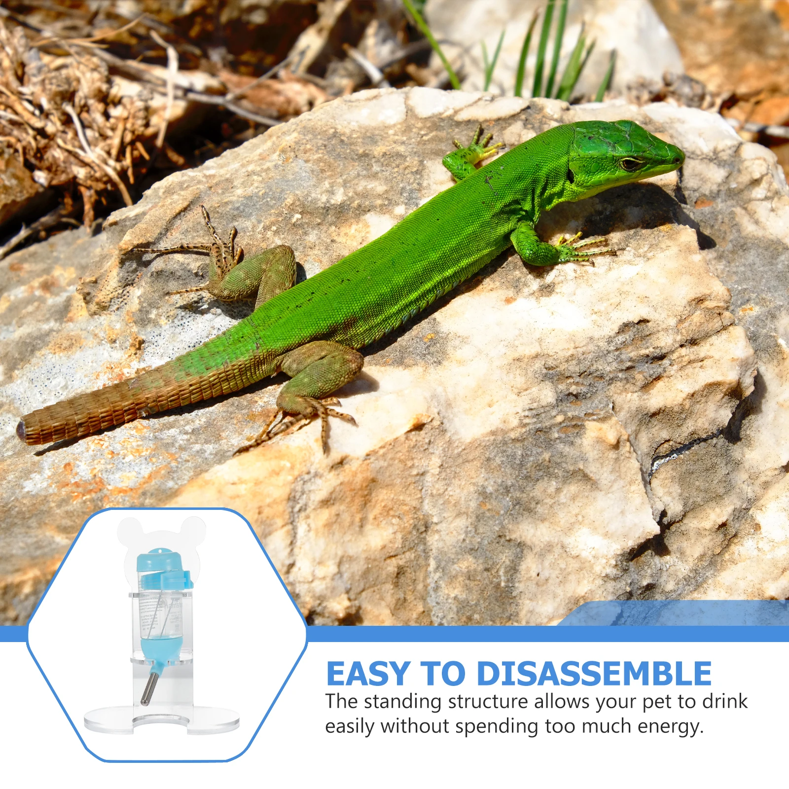 

1Set Standing Type Pet Water Drinking Bottle Small Pet Water Feeder Transparent Leak-Proof Holder for Hamster Rabbit