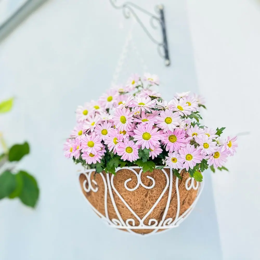 

Подвесные корзины для растений, 2 шт., 12 дюймов, подвесные цветочные горшки с кокосовым вкладышем, круглые корзины из белой металлической проволоки для растений