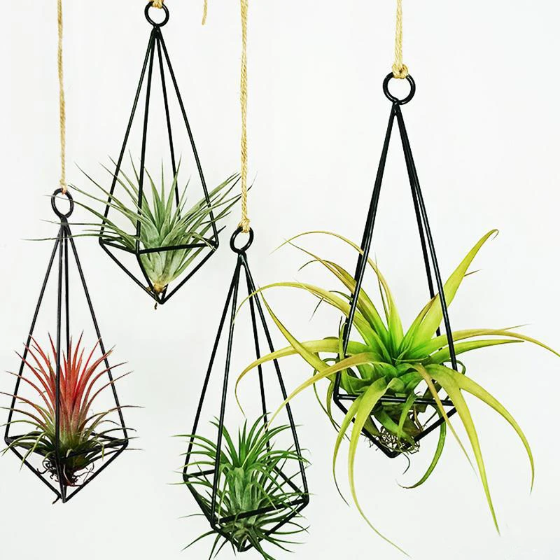 Metal Hanging Plant Pot Plant Holder for Air Plants Display with Chains Wall Hanging Geometric Air Plants Rack