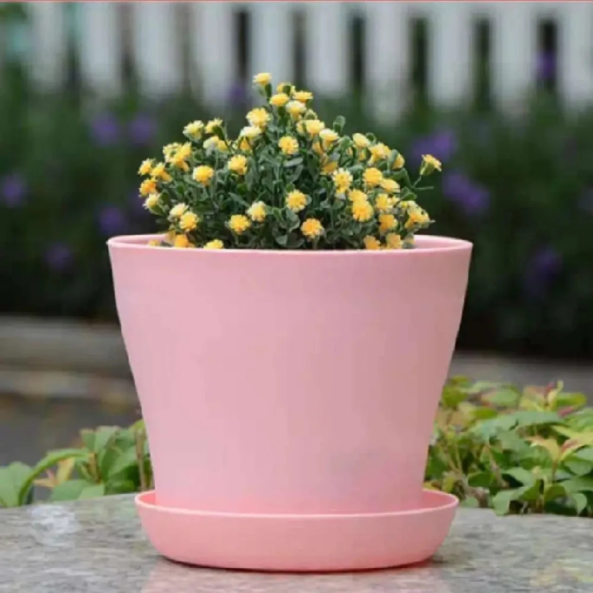 Flower Pot Round Planters Candy Color Mini Flowerpot for Succulents Home Office Decor Planting Supplies HIgh Quality