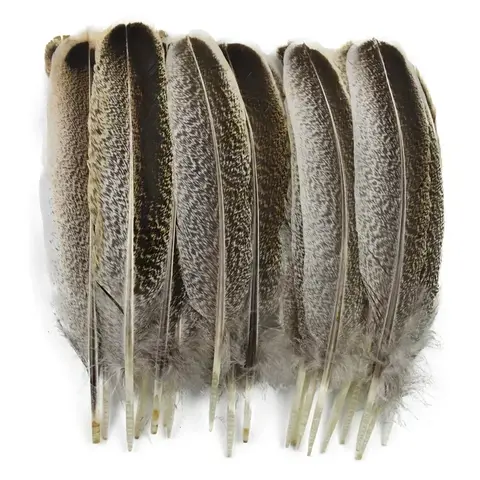 10Pcs/Lot Natural Eagle Feathers for Decoration Crafts Wedding Bird Pheasant Turkey Feather Decor Holiday Carnaval Assesoires