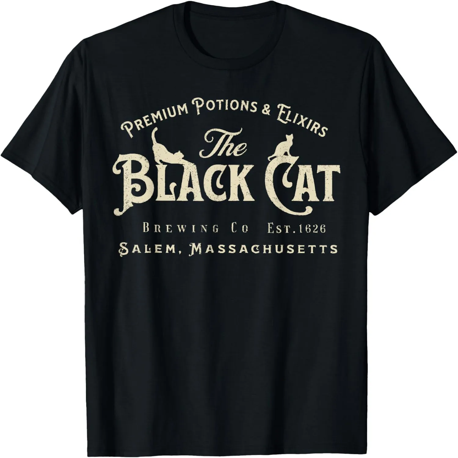 The Black Cat Witchy Salem Est 1626 Halloween Cat Lover Gift T-Shirt Halloween t-shirt, Gift tee,