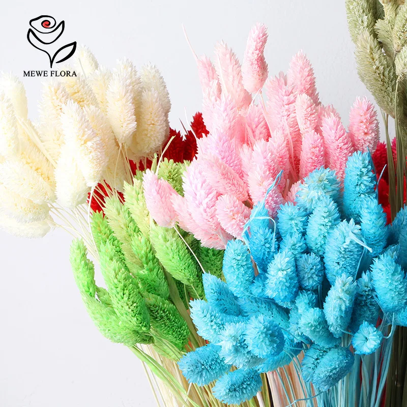 50Pcs Natural Jewelry Gem Grass Bouquet Boho Home Vase Decoration Dried Flower Phalaris Wedding Party Decor Photography Props