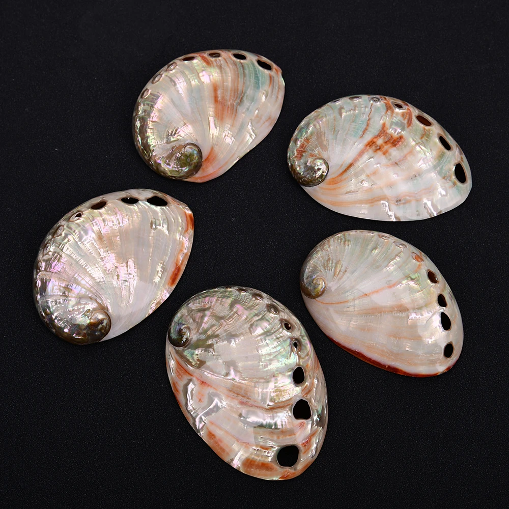 5 Pcs Big Natural Color Abalone Shell Connector Pendant Charms Jewelry DIY