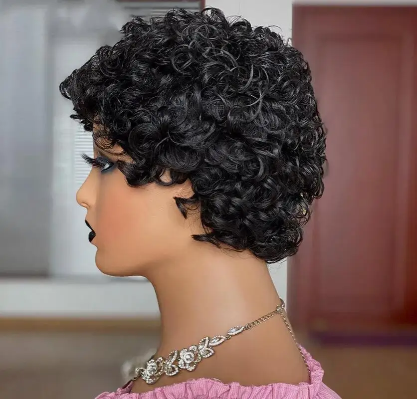 Short Curly Wigs for Women Human Hair Afro Kinky Curly Wig  Curly Wigs