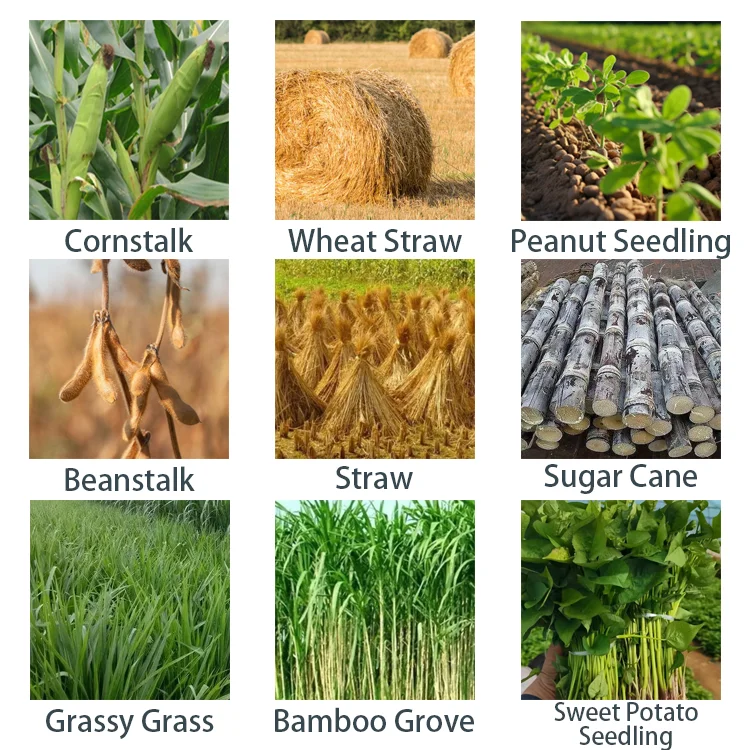 Macchina per tritare e tritare l'erba Cannuccia di mais Varie trituratori di erba