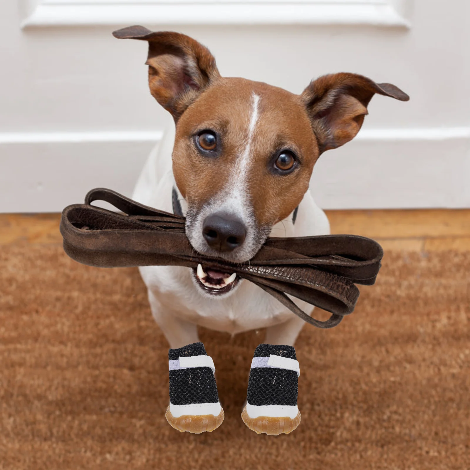 

4Pcs Breathable Dog Shoes Mesh Summer Puppy Boots Non-Slip Sole Protection for Floor Furniture Easy Adjustable Sticky Closure