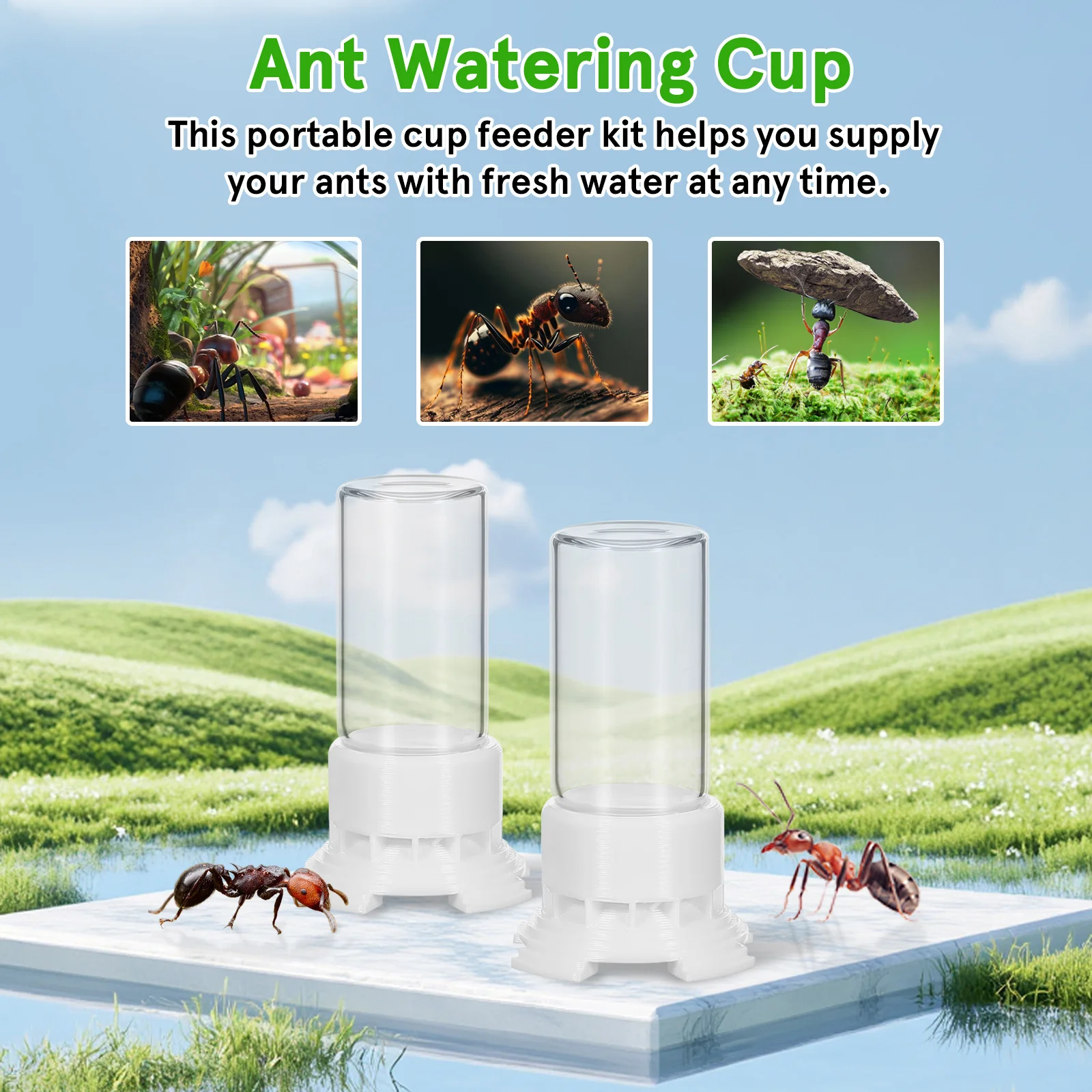 2 قطعة كوب تغذية عش النمل إمدادات المياه العذبة في أي وقت لا مزعج للمعمرة بناء زجاجي بلاستيكي قوي