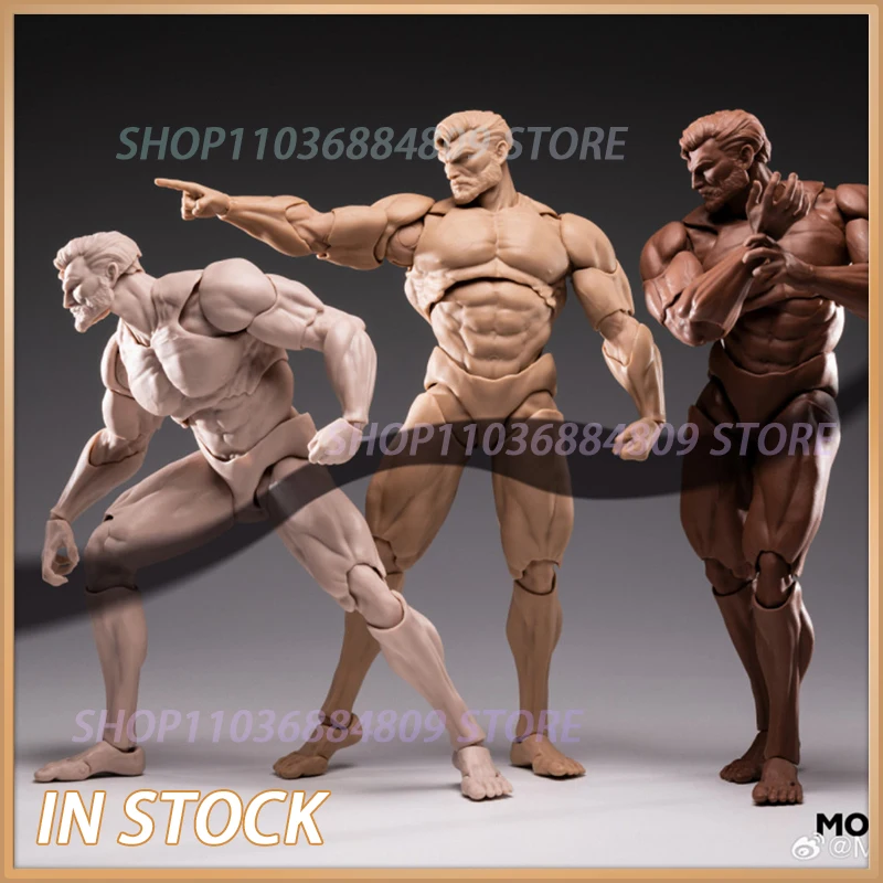 

In Stock Original INART MORFIG Blank Male Body 1/12 Action Figure(BlankBody-01) Movability Model Toys QUEEN STUDIOS WF