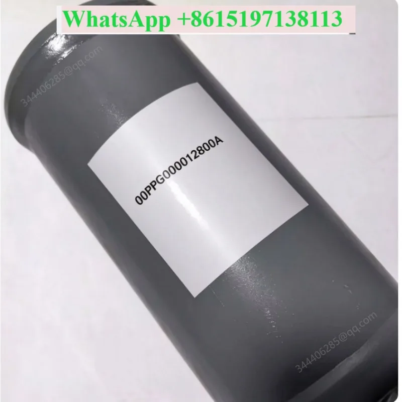 Air Conditioner Accessories 00PPG000012800A/B/C Oil Filter/applicable 30XA/XQ/XW