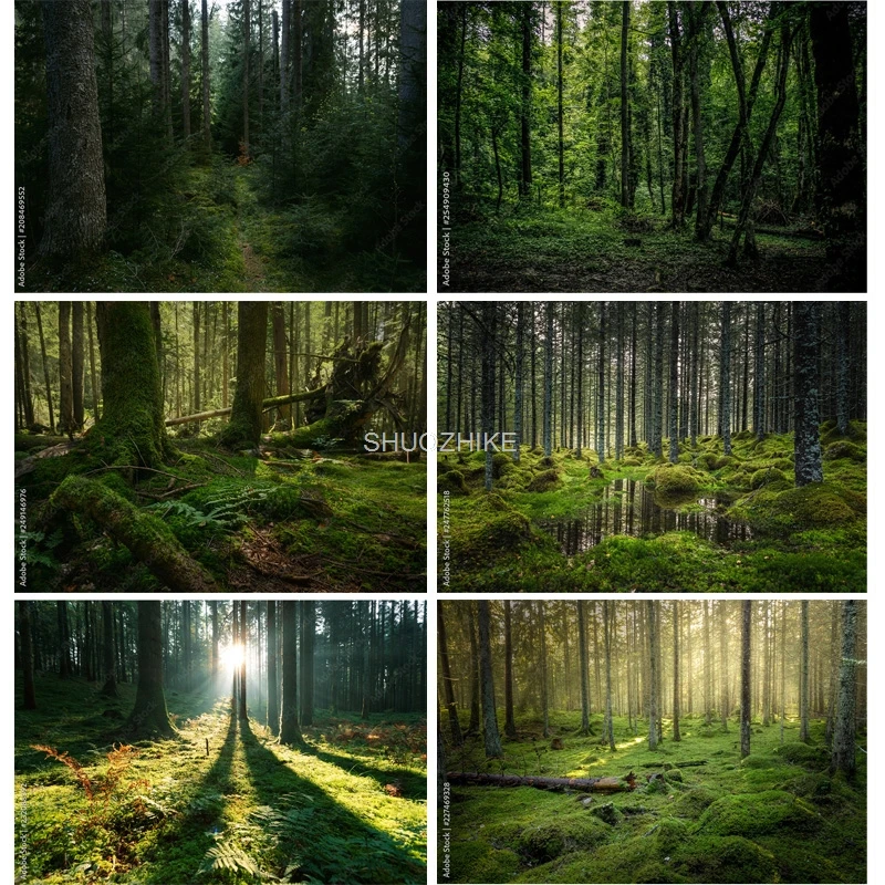 Mystery Tropical Coniferous Forest Moss Fallen Trees Photography Backdrops Prop Ancient Nature Landscape Theme Background ZL-11