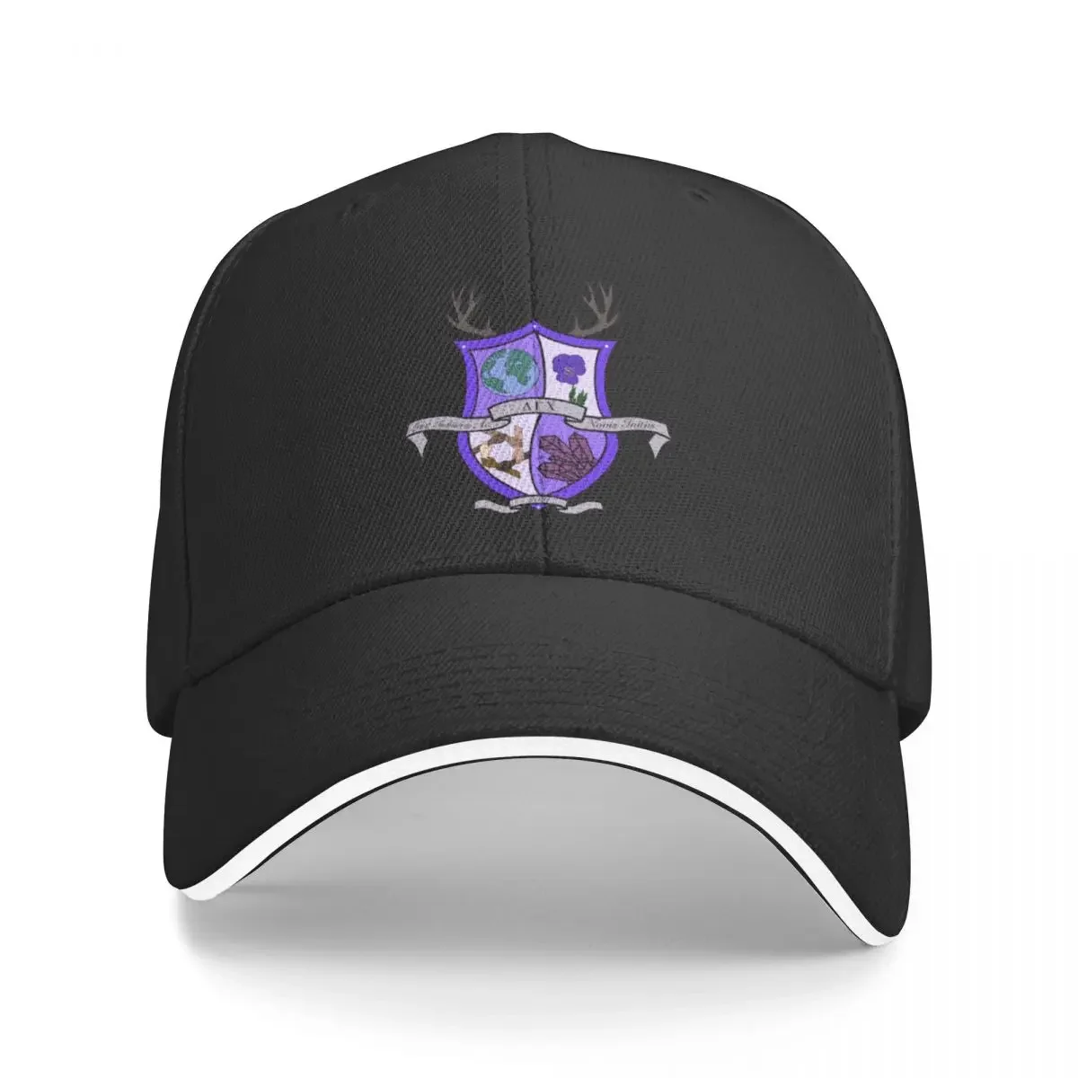 Delta Gamma Chi Insignia Merch Baseball Cap funny hat Hat Baseball Cap Rave For Women Men's